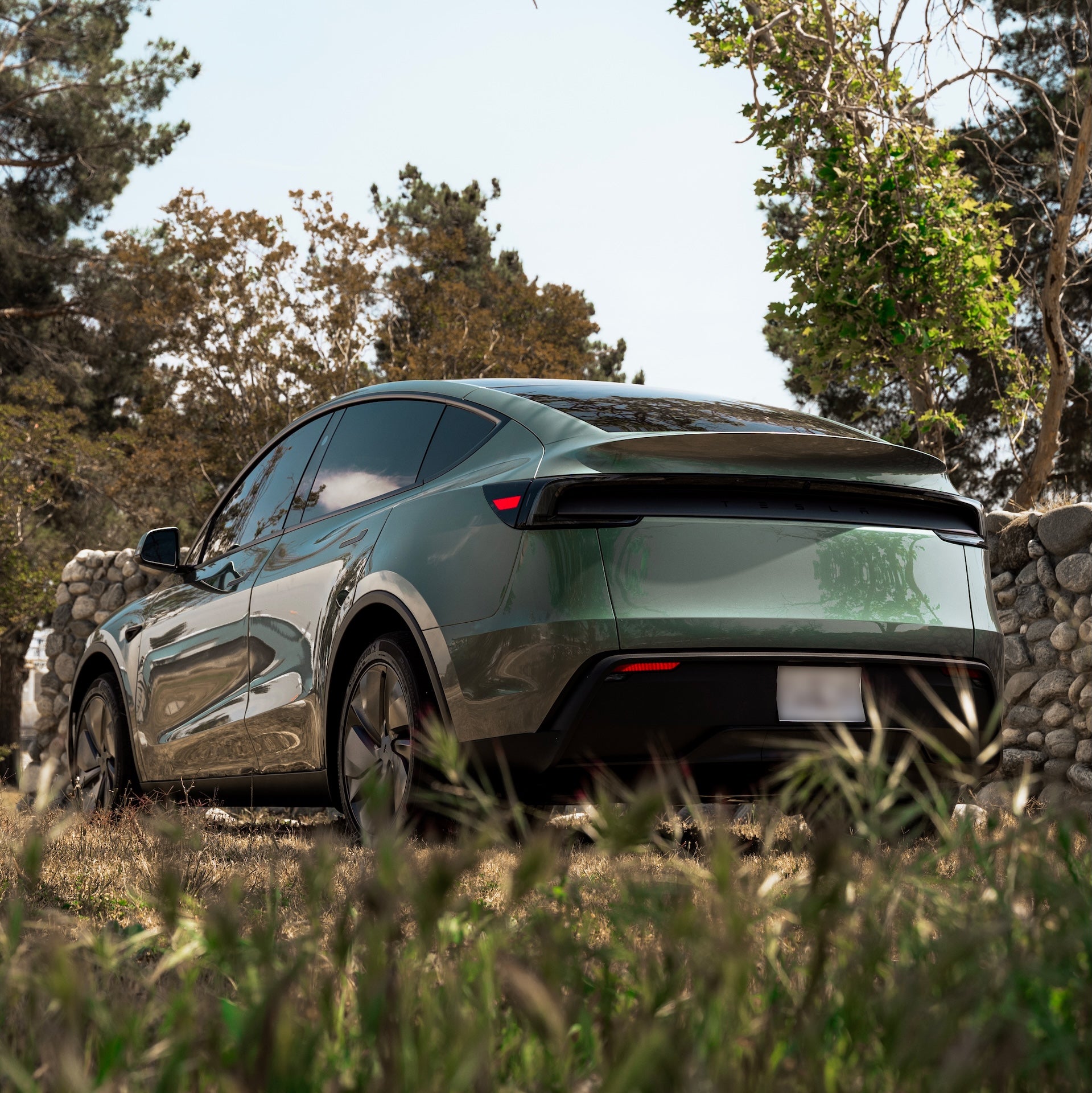 Millennium Jade Model Y Rear