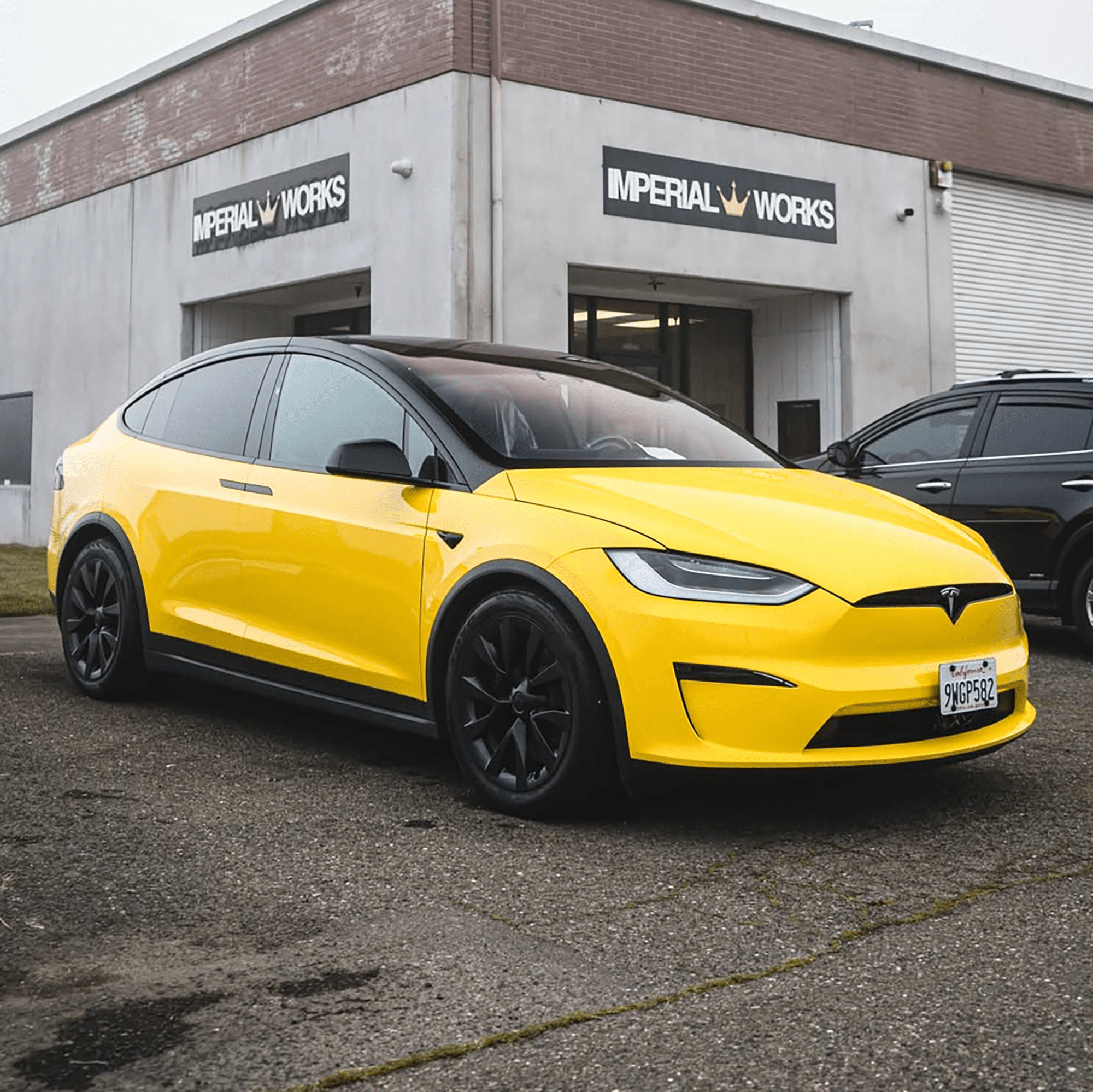 Phoenix Yellow - Peak PPF