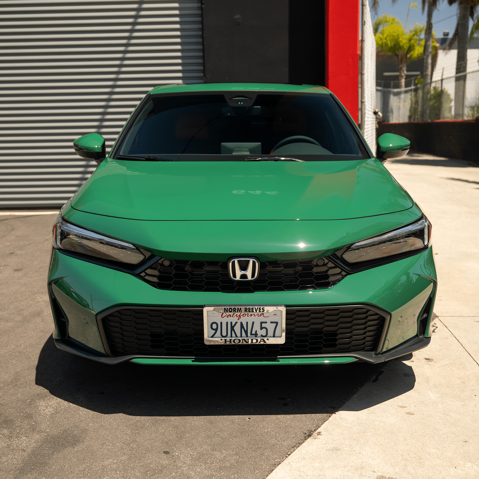 British Racing Green - Peak PPF