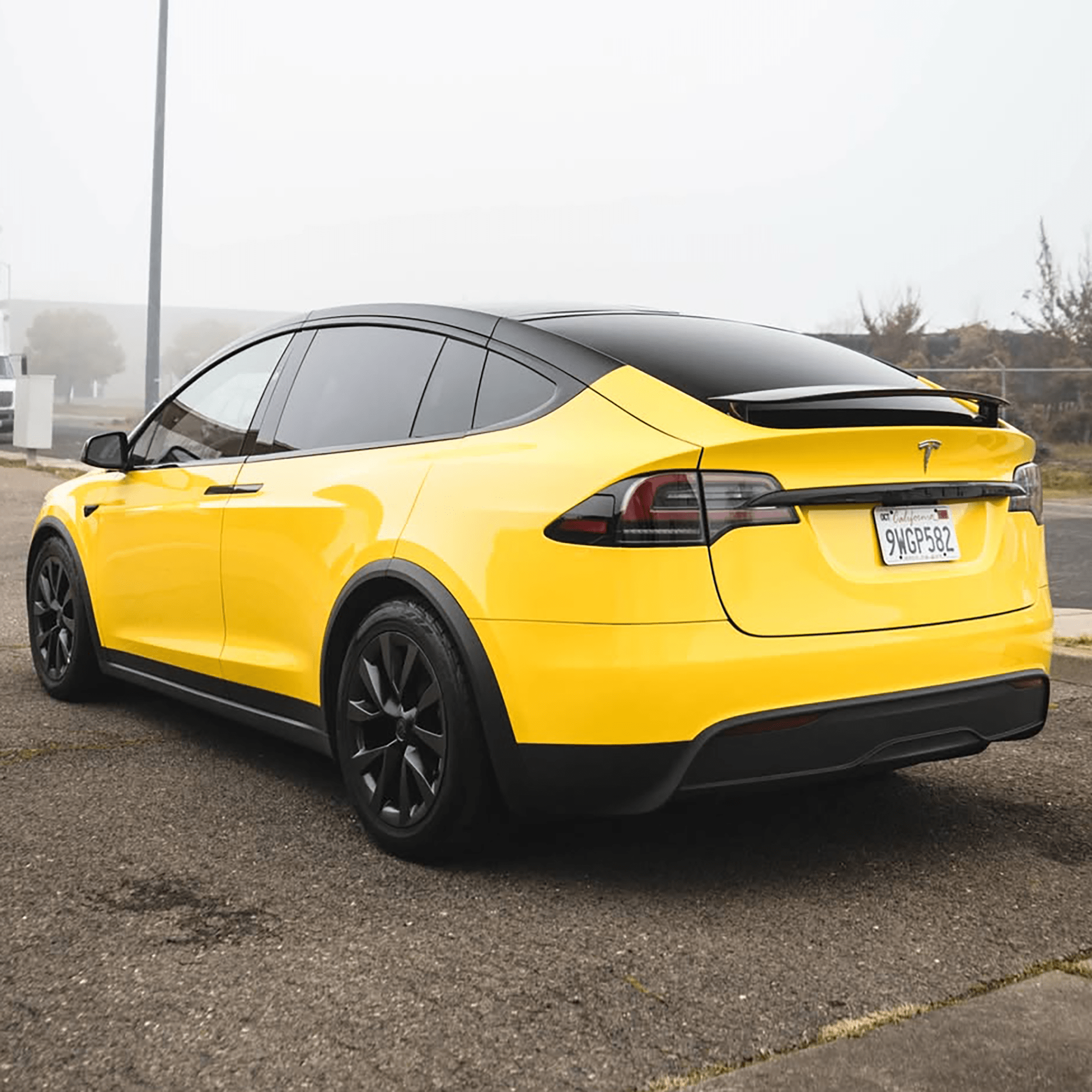 Phoenix Yellow - Peak PPF